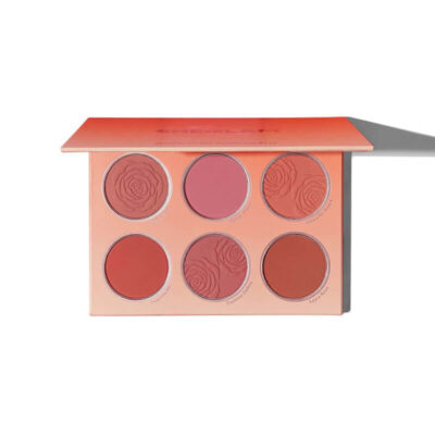 پالت رژگونه شش رنگ شیگلم SHEGLAM مدل Floral Flush