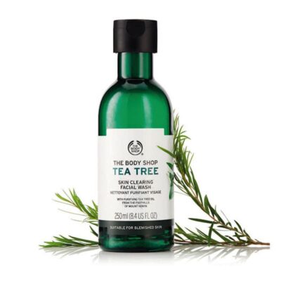 شوینده درخت چای بادی شاپ مدل Tea Tree