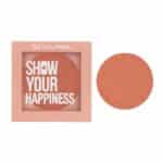 رژگونه پودری پاستل PASTEL مدل Show Your Happiness کد 205