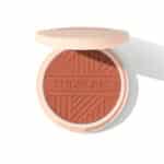 رژگونه پودری شیگلم SHEGLAM مدل Divine Flush Matte Blush رنگ Good Vibes