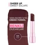 رژلب جامد براق و مرطوب کننده لب فلورمار Flormar مدل Sheer Up Sweet Escape کد 028 (رنگ Chocolate Pudding) - Image 3