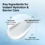 کرم مرطوب‌ کننده روزانه و تقویت‌ کننده سد دفاعی انواع پوست آنوا Anua مدل Barrier Reboot Daily Moisturizer (100 میل) - تصویر 6